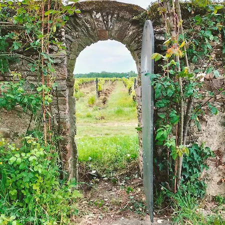 Semesterbostad Near Nantes House In Vineyards With Pool *