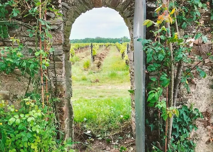 Vakantiehuis Near Nantes House In Vineyards With Pool *