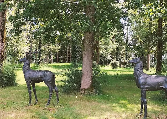 Near Nantes House In Vineyards With Pool Vakantiehuis